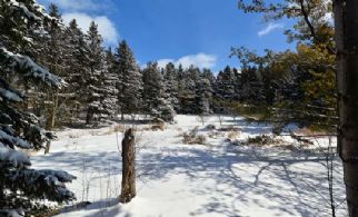 Property View - Country homes for sale and luxury real estate including horse farms and property in the Caledon and King City areas near Toronto