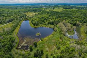 Country homes for sale and luxury real estate including horse farms and property in the Caledon and King City areas near Toronto