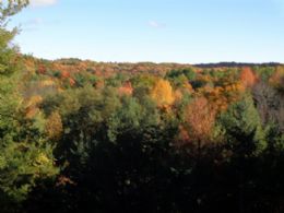 Fall Colours - Country homes for sale and luxury real estate including horse farms and property in the Caledon and King City areas near Toronto