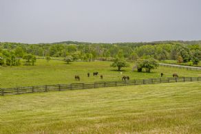 Vista - Country homes for sale and luxury real estate including horse farms and property in the Caledon and King City areas near Toronto