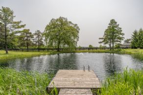 Spring fed pond - Country homes for sale and luxury real estate including horse farms and property in the Caledon and King City areas near Toronto