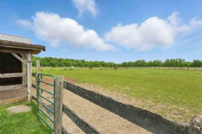 Paddocks - Country homes for sale and luxury real estate including horse farms and property in the Caledon and King City areas near Toronto